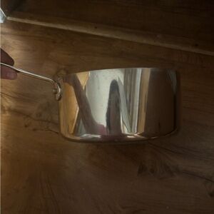 Stainless Steel Saucepan